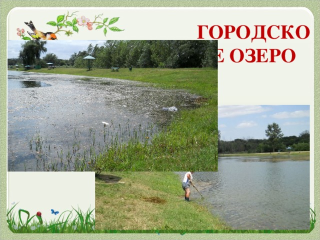 ГОРОДСКОЕ ОЗЕРО