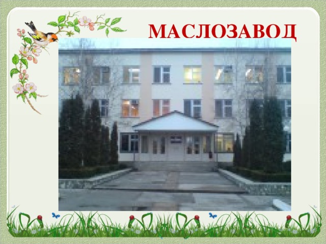 МАСЛОЗАВОД