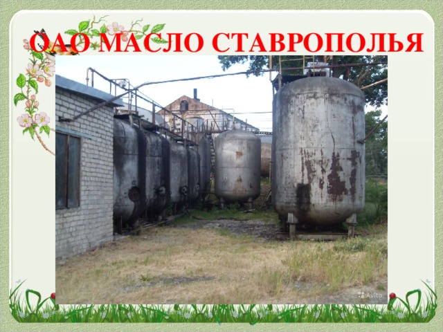 ОАО МАСЛО СТАВРОПОЛЬЯ