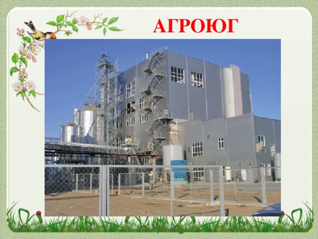 АГРОЮГ