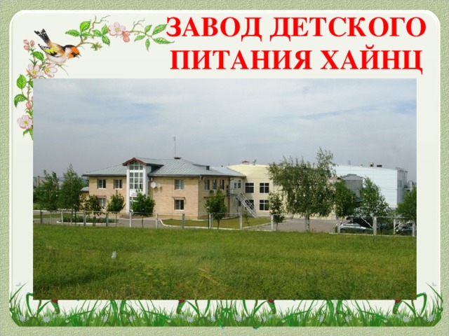 ЗАВОД ДЕТСКОГО ПИТАНИЯ ХАЙНЦ