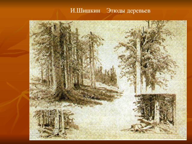 И.Шишкин Этюды деревьев 