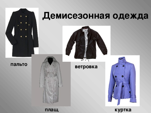 Виды одежды и примеры