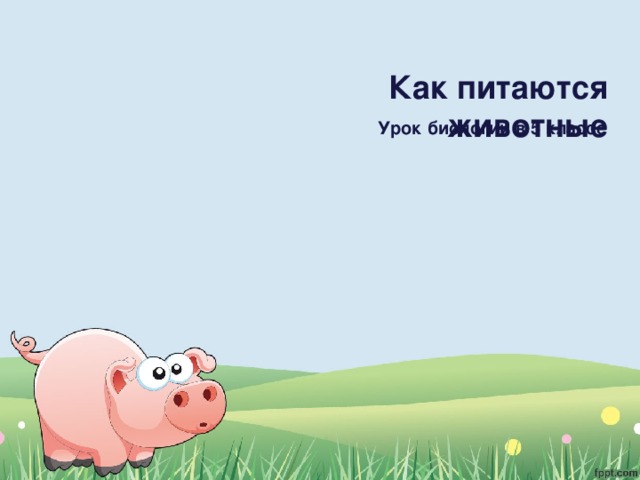 Чем питаются животные 5 класс. Смотреть фото Чем питаются животные 5 класс. Смотреть картинку Чем питаются животные 5 класс. Картинка про Чем питаются животные 5 класс. Фото Чем питаются животные 5 класс