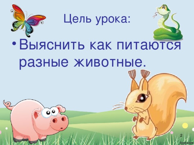 Чем питаются животные 5 класс. Смотреть фото Чем питаются животные 5 класс. Смотреть картинку Чем питаются животные 5 класс. Картинка про Чем питаются животные 5 класс. Фото Чем питаются животные 5 класс