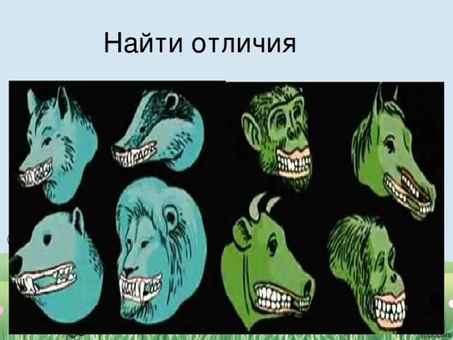 Чем питаются животные 5 класс. Смотреть фото Чем питаются животные 5 класс. Смотреть картинку Чем питаются животные 5 класс. Картинка про Чем питаются животные 5 класс. Фото Чем питаются животные 5 класс
