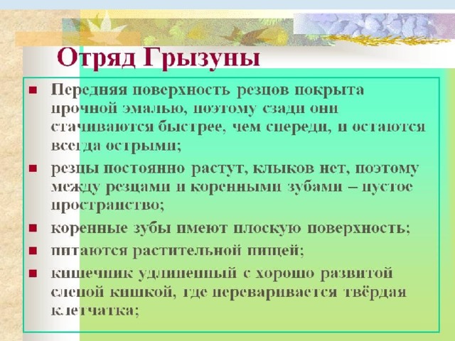 Чем питаются животные 5 класс. Смотреть фото Чем питаются животные 5 класс. Смотреть картинку Чем питаются животные 5 класс. Картинка про Чем питаются животные 5 класс. Фото Чем питаются животные 5 класс