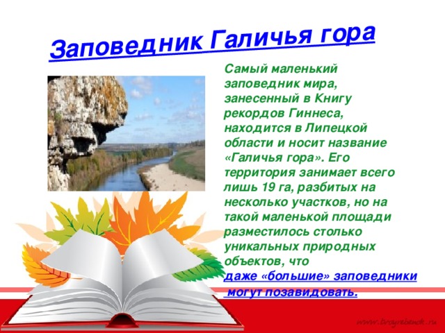 Заповедник галичья гора в липецкой области презентация