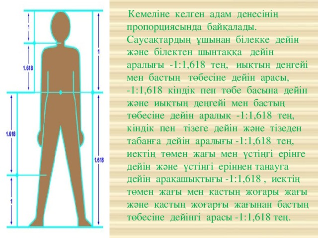 Соответствие размеров мебели среднему росту и пропорциям человека относится к