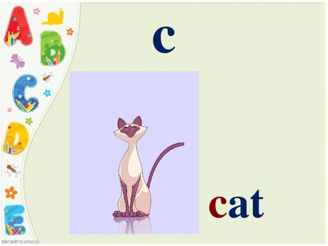 c c at 