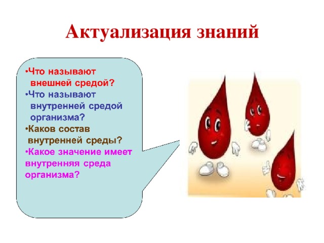 Кровь гистология презентация