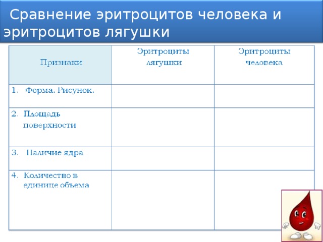 Форма эритроцитов лягушки. Сравнительная характеристика эритроцитов лягушки и человека. Форма эритроцитов человека и лягушки. Функции эритроцитов лягушки. Сравнение литроцитов человек и лягушки.