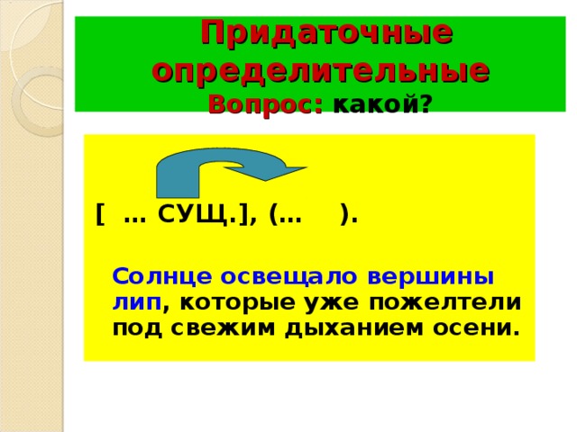 Солнце освещало вершины. Придаточное определительное вопросы. Определительные предаточное вопросы.. На какие вопросы отвечает придаточное определительное. Солнце освещало вершины лип которые уже пожелтели под свежим.