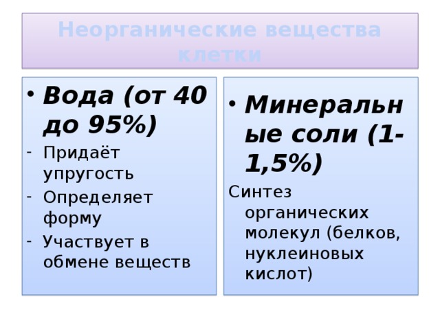 Неорганические вещества клетки Вода (от 40 до 95%) Минеральные соли (1-1,5%) Придаёт упругость Определяет форму Участвует в обмене веществ Синтез органических молекул (белков, нуклеиновых кислот) 