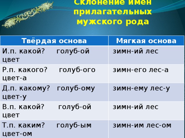 Прилагательное мужского рода