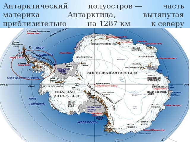 Карта антарктиды полуостров антарктический