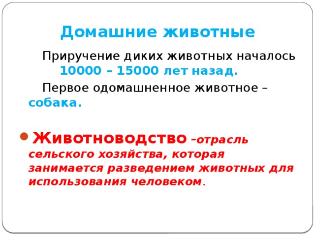 Домашние животные  Приручение диких животных началось 10000 – 15000 лет назад.  Первое одомашненное животное – собака. Животноводство  –отрасль сельского хозяйства, которая занимается разведением животных для использования человеком . 