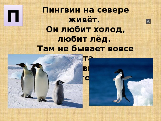 Пингвин на севере живёт. Он любит холод, любит лёд. Там не бывает вовсе лета, И все пингвины знают это. П 