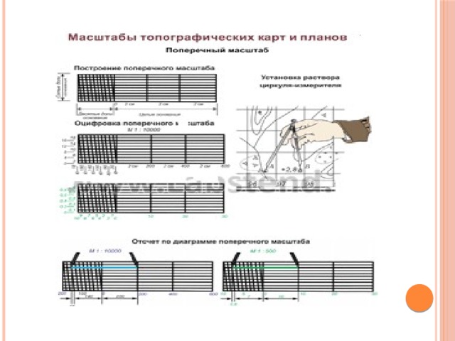 Масштабы планов в геодезии