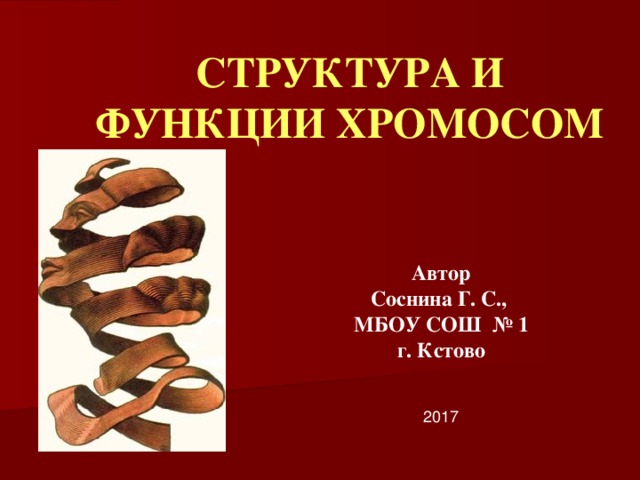 СТРУКТУРА И ФУНКЦИИ ХРОМОСОМ Автор Соснина Г. С., МБОУ СОШ № 1 г. Кстово 2017 