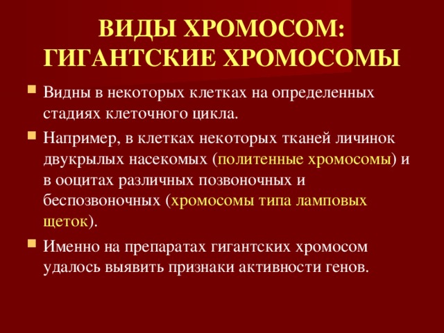 ВИДЫ ХРОМОСОМ:  ГИГАНТСКИЕ ХРОМОСОМЫ Видны в некоторых клетках на определенных стадиях клеточного цикла. Например, в клетках некоторых тканей личинок двукрылых насекомых ( политенные хромосомы ) и в ооцитах различных позвоночных и беспозвоночных ( хромосомы типа ламповых щеток ). Именно на препаратах гигантских хромосом удалось выявить признаки активности генов. 