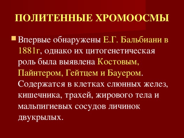 ПОЛИТЕННЫЕ ХРОМООСМЫ Впервые обнаружены Е.Г.  Бальбиани  в 1881г , однако их цитогенетическая роль была выявлена Костовым, Пайнтером, Гейтцем и Бауером . Содержатся в клетках слюнных желез, кишечника, трахей, жирового тела и мальпигиевых сосудов личинок двукрылых. 