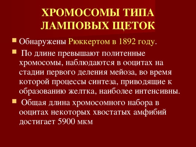 ХРОМОСОМЫ ТИПА ЛАМПОВЫХ ЩЕТОК Обнаружены Рюккертом  в 1892 году .  По длине превышают политенные хромосомы, наблюдаются в ооцитах на стадии первого деления мейоза, во время которой процессы синтеза, приводящие к образованию желтка, наиболее интенсивны.  Общая длина хромосомного набора в ооцитах некоторых хвостатых амфибий достигает 5900 мкм 