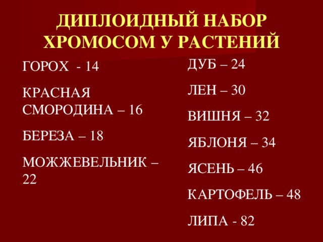 ДИПЛОИДНЫЙ НАБОР ХРОМОСОМ У РАСТЕНИЙ ДУБ – 24 ЛЕН – 30 ВИШНЯ – 32 ЯБЛОНЯ – 34 ЯСЕНЬ – 46 КАРТОФЕЛЬ – 48 ЛИПА - 82 ГОРОХ - 14 КРАСНАЯ СМОРОДИНА – 16 БЕРЕЗА – 18 МОЖЖЕВЕЛЬНИК – 22 