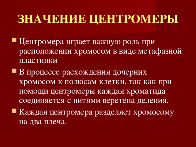 ЗНАЧЕНИЕ ЦЕНТРОМЕРЫ Центромера играет важную роль при расположении хромосом в виде метафазной пластинки В процессе расхождения дочерних хромосом к полюсам клетки, так как при помощи центромеры каждая хроматида соединяется с нитями веретена деления. Каждая центромера разделяет хромосому на два плеча. 