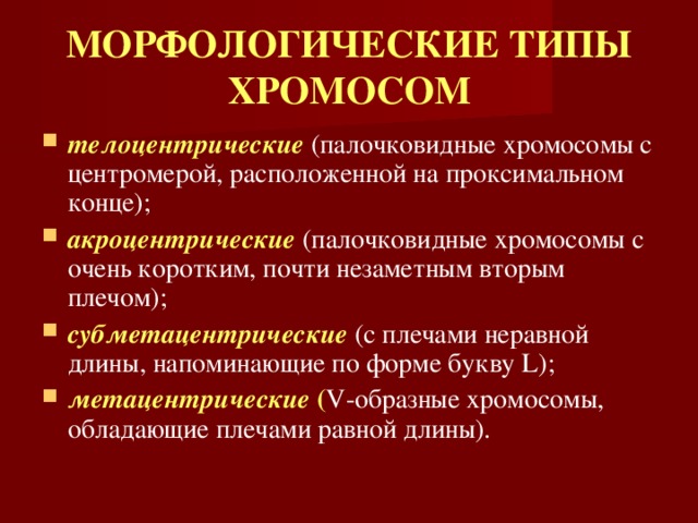 МОРФОЛОГИЧЕСКИЕ ТИПЫ ХРОМОСОМ телоцентрические  (палочковидные хромосомы с центромерой, расположенной на проксимальном конце); акроцентрические  (палочковидные хромосомы с очень коротким, почти незаметным вторым плечом); субметацентрические (с плечами неравной длины, напоминающие по форме букву L); метацентрические ( V-образные хромосомы, обладающие плечами равной длины). 
