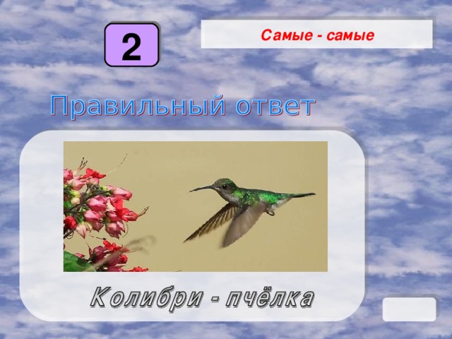 Самые - самые 2 