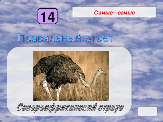 Самые - самые 14 