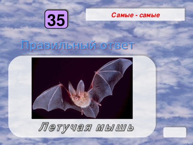 Самые - самые 35 