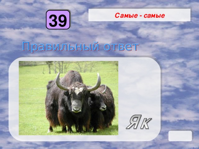 Самые - самые 39 