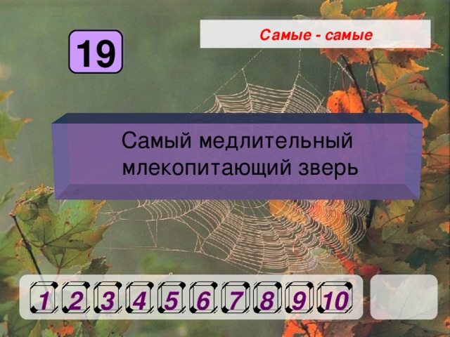 Самые - самые 19 Самый медлительный  млекопитающий зверь 1 2 3 4 5 6 7 8 9 10 