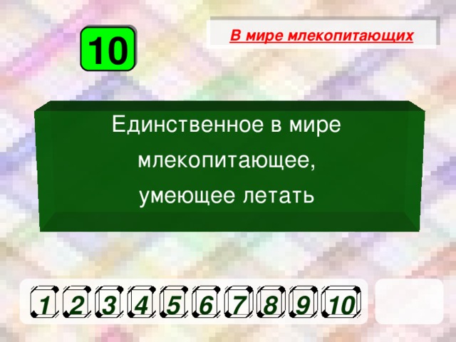 В мире млекопитающих 10 Единственное в мире млекопитающее, умеющее летать  1 2 3 4 5 6 7 8 9 10 