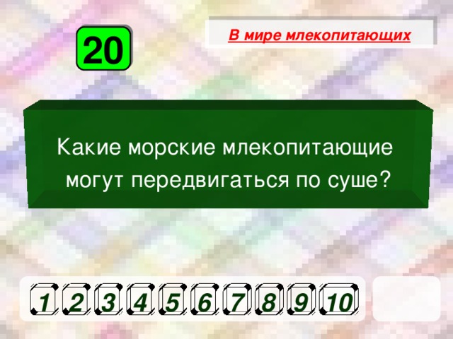 В мире млекопитающих 20 Какие морские млекопитающие могут передвигаться по суше? 1 2 3 4 5 6 7 8 9 10 