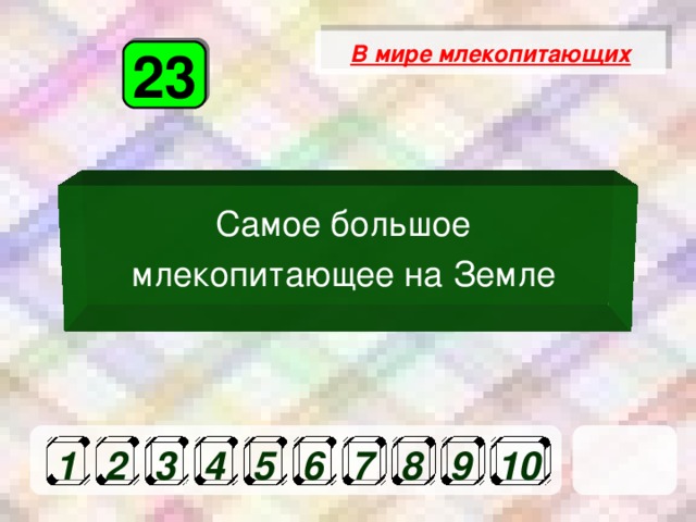 В мире млекопитающих 23 Самое большое млекопитающее на Земле  1 2 3 4 5 6 7 8 9 10 