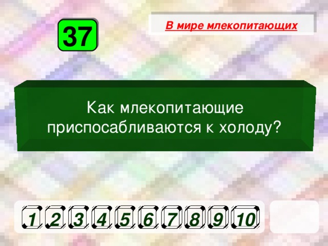 В мире млекопитающих 37 Как млекопитающие приспосабливаются к холоду?   1 2 3 4 5 6 7 8 9 10 