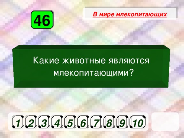 В мире млекопитающих 46 Какие животные являются млекопитающими?  1 2 3 4 5 6 7 8 9 10 