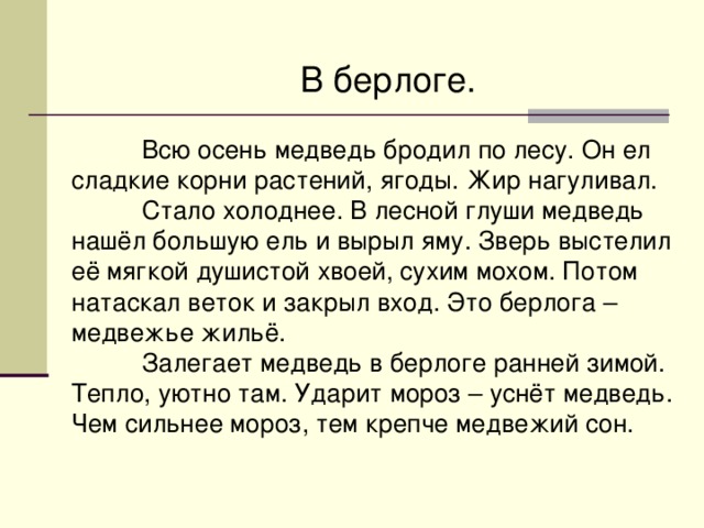 В берлоге. Всю осень медведь бродил по лесу. Он ел сладкие корни растений, ягоды. Жир нагуливал.  Стало холоднее. В лесной глуши медведь нашёл большую ель и вырыл яму. Зверь выстелил её мягкой душистой хвоей, сухим мохом. Потом натаскал веток и закрыл вход. Это берлога – медвежье жильё.  Залегает медведь в берлоге ранней зимой. Тепло, уютно там. Ударит мороз – уснёт медведь. Чем сильнее мороз, тем крепче медвежий сон. 