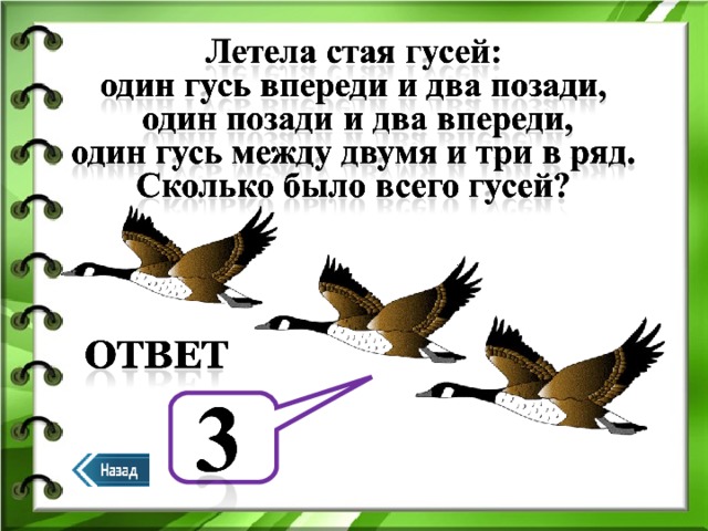 Летели две. Летела стая гусей один впереди два позади два. Задача летела стая гусей один Гусь впереди а два позади. Стая гусей летит. Задача про гусей один впереди два позади.