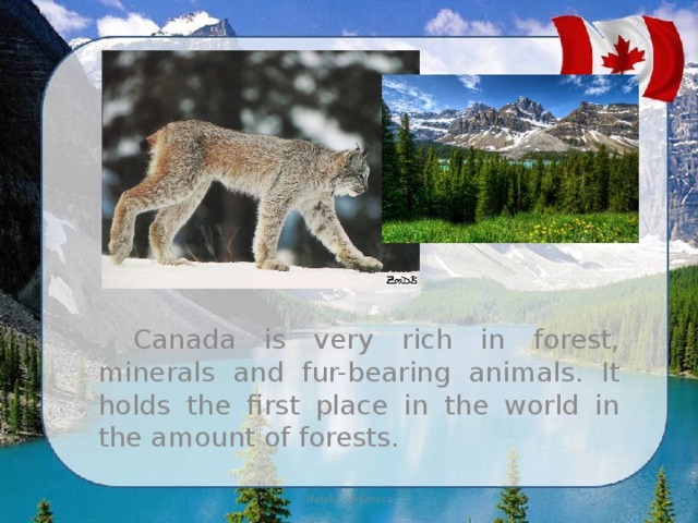Canada is very rich in forest, minerals and fur-bearing animals. It holds the first place in the world in the amount of forests. 