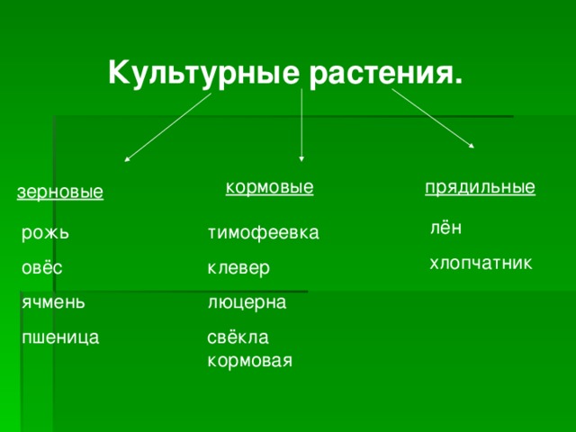 Люцерна лен кормовая свекла пшеница хлопчатник рожь