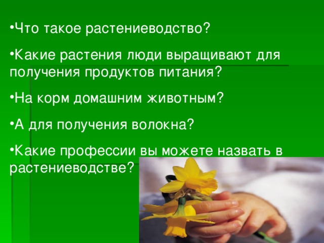Что такое растениеводство? Какие растения люди выращивают для получения продуктов питания? На корм домашним животным? А для получения волокна? Какие профессии вы можете назвать в растениеводстве?