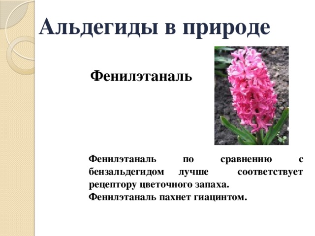 Альдегиды в природе Фенилэтаналь Фенилэтаналь по сравнению с бензальдегидом лучше соответствует рецептору цветочного запаха. Фенилэтаналь пахнет гиацинтом. 