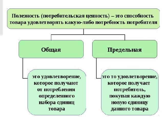 Полезность проекта для организации