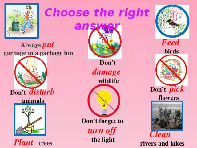 Choose the right answer Feed  birds Always put garbage in a garbage bin Don’t damage  wildlife Don’t pick flowers Don’t disturb  animals Don’t forget to turn off  the light Clean rivers and lakes Plant   trees 