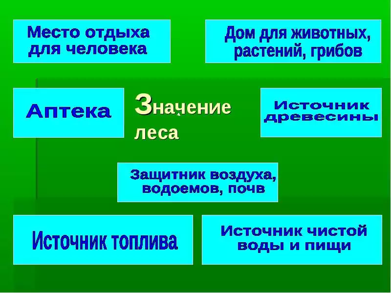 Значение леса в жизни северян схема