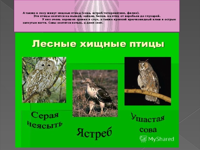 Спит вода спит рыба спят птицы и только совы летают у костра схема предложения